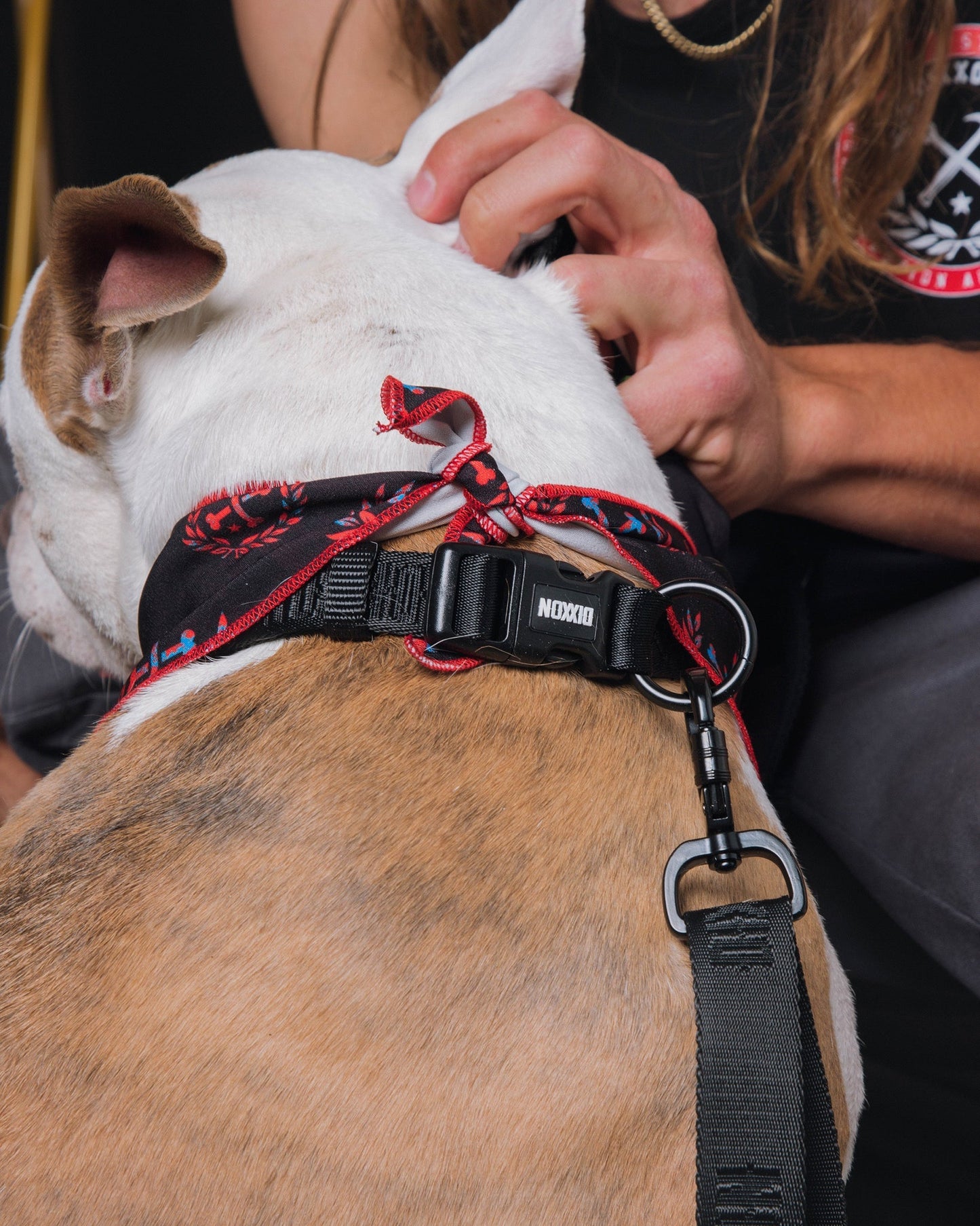 Dixxon Dog Collar - Black