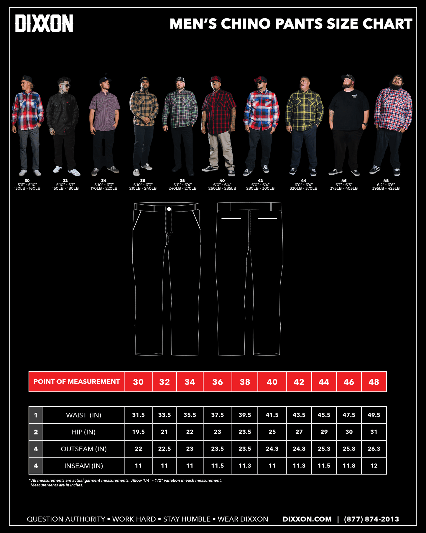 Chino Pants - Navy